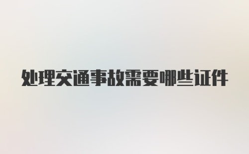 处理交通事故需要哪些证件