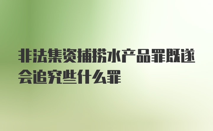 非法集资捕捞水产品罪既遂会追究些什么罪