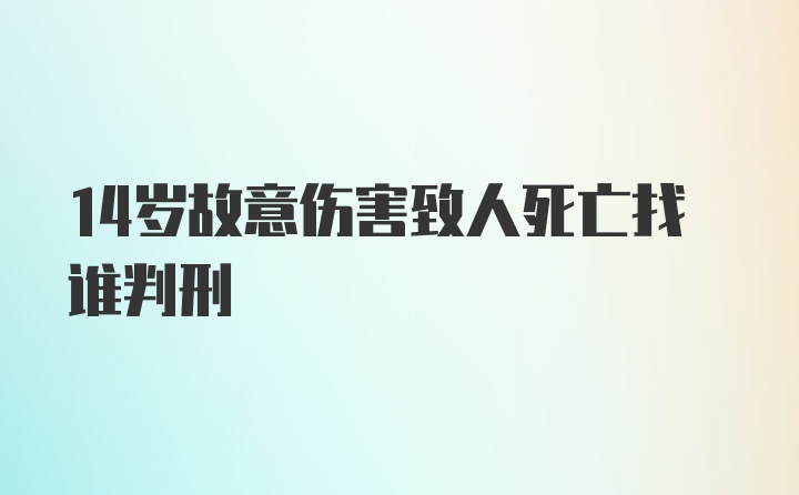 14岁故意伤害致人死亡找谁判刑