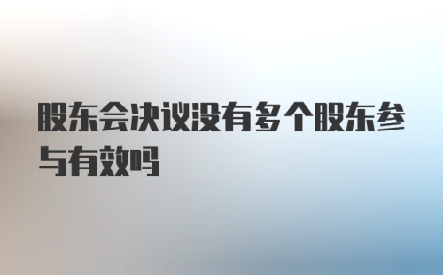 股东会决议没有多个股东参与有效吗