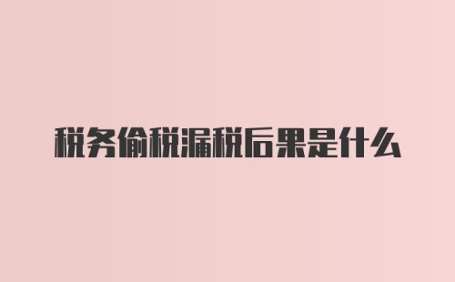 税务偷税漏税后果是什么