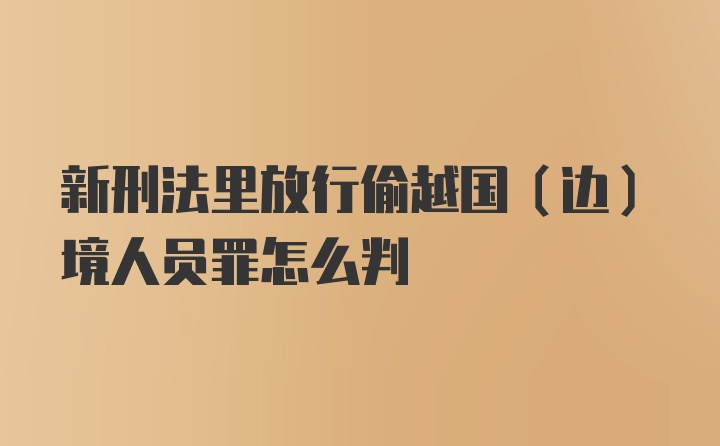 新刑法里放行偷越国（边）境人员罪怎么判