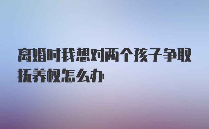 离婚时我想对两个孩子争取抚养权怎么办