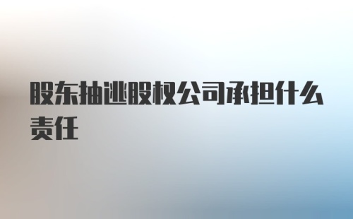 股东抽逃股权公司承担什么责任