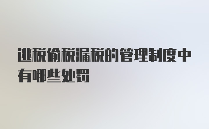 逃税偷税漏税的管理制度中有哪些处罚