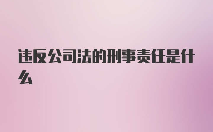 违反公司法的刑事责任是什么