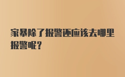 家暴除了报警还应该去哪里报警呢?