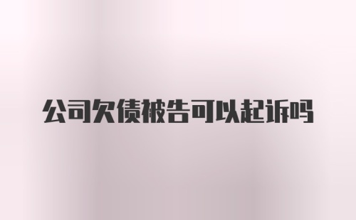 公司欠债被告可以起诉吗