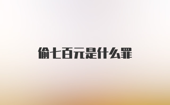 偷七百元是什么罪