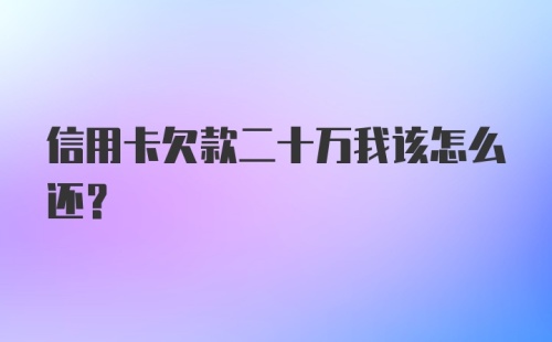 信用卡欠款二十万我该怎么还？