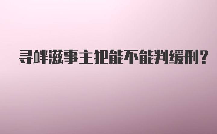 寻衅滋事主犯能不能判缓刑？