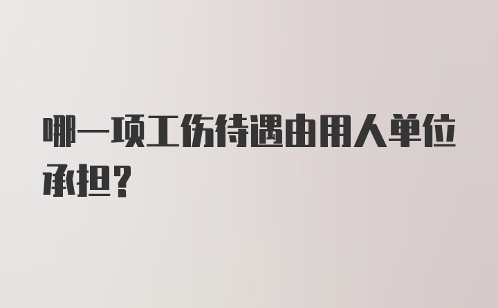 哪一项工伤待遇由用人单位承担?