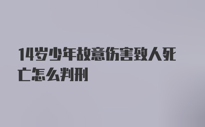 14岁少年故意伤害致人死亡怎么判刑