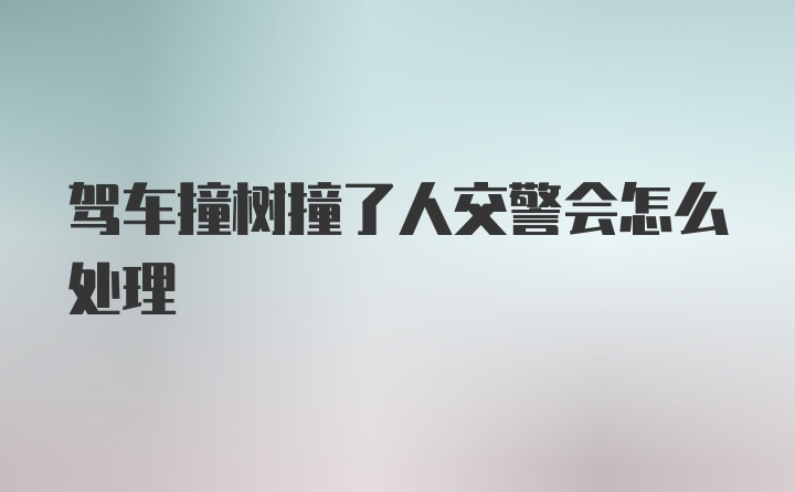 驾车撞树撞了人交警会怎么处理