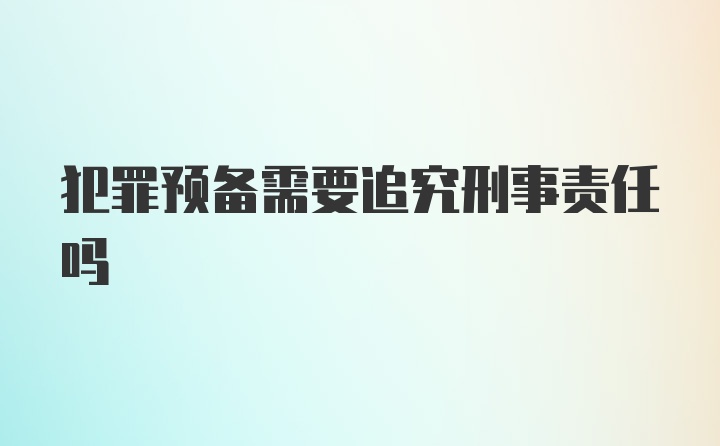 犯罪预备需要追究刑事责任吗