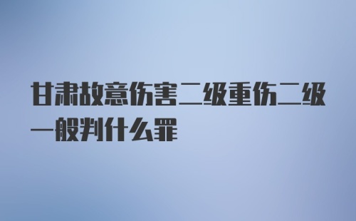 甘肃故意伤害二级重伤二级一般判什么罪