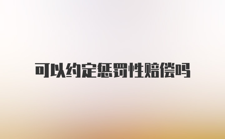 可以约定惩罚性赔偿吗