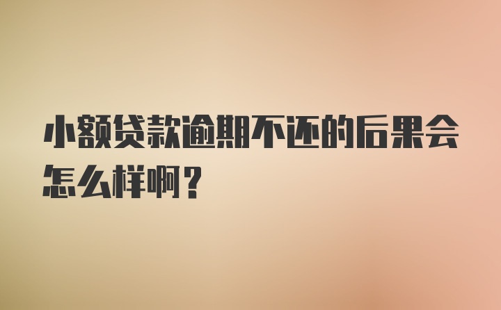 小额贷款逾期不还的后果会怎么样啊?