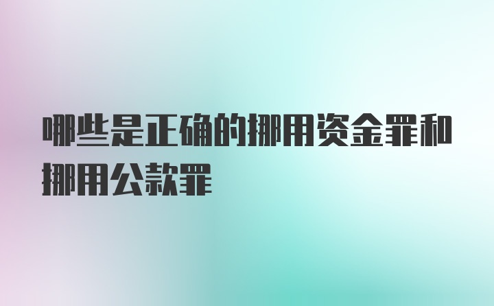 哪些是正确的挪用资金罪和挪用公款罪