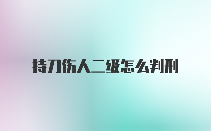 持刀伤人二级怎么判刑