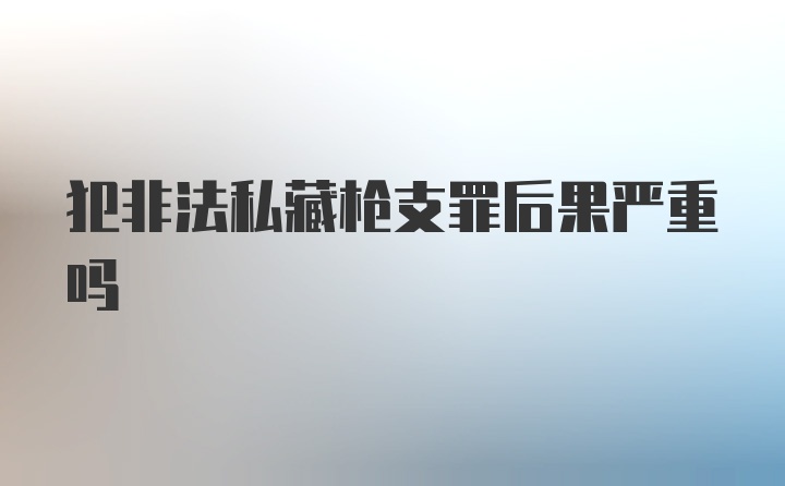 犯非法私藏枪支罪后果严重吗