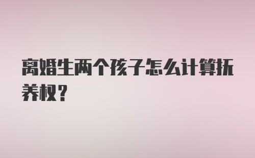 离婚生两个孩子怎么计算抚养权?