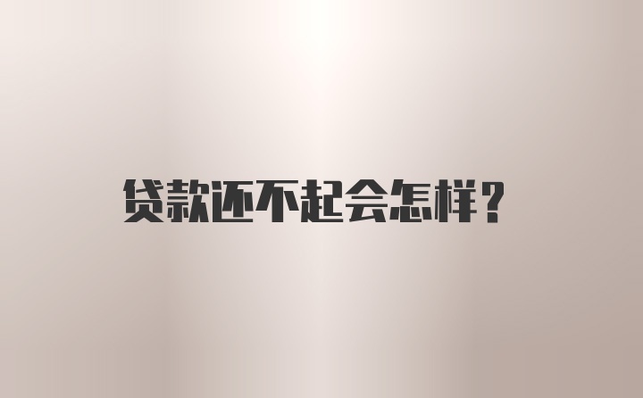 贷款还不起会怎样？