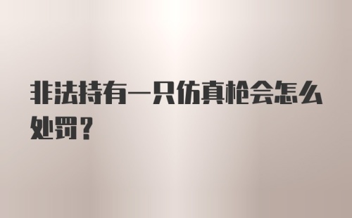 非法持有一只仿真枪会怎么处罚？