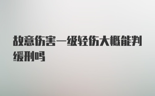 故意伤害一级轻伤大概能判缓刑吗