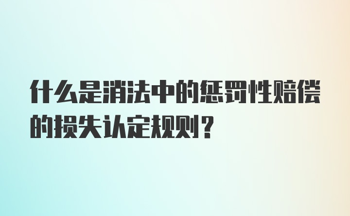 什么是消法中的惩罚性赔偿的损失认定规则？