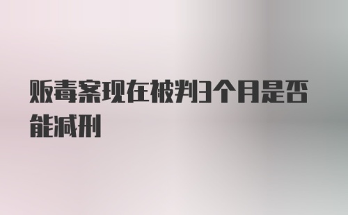 贩毒案现在被判3个月是否能减刑