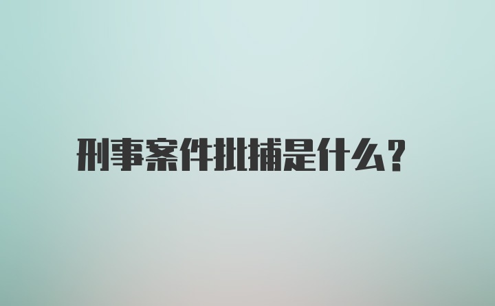 刑事案件批捕是什么？