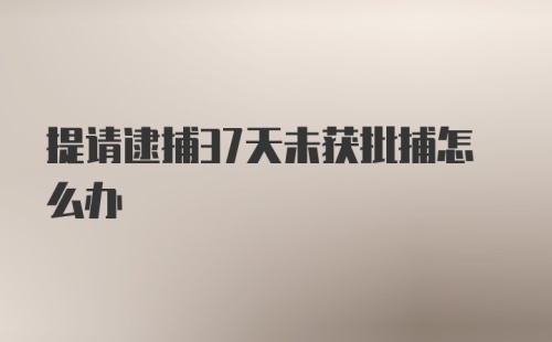 提请逮捕37天未获批捕怎么办