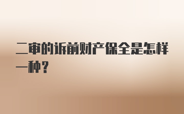 二审的诉前财产保全是怎样一种？