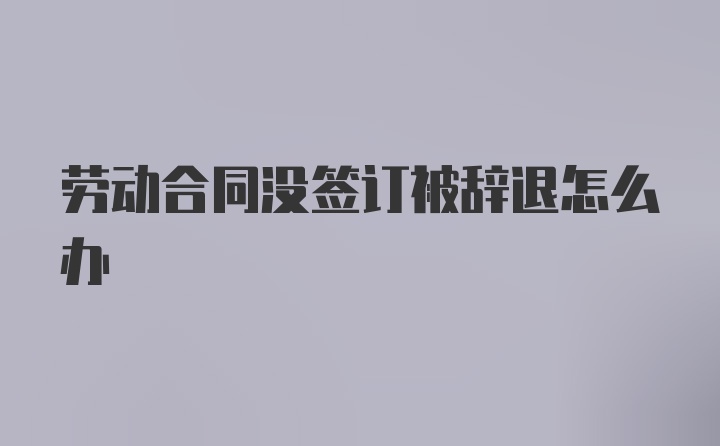 劳动合同没签订被辞退怎么办