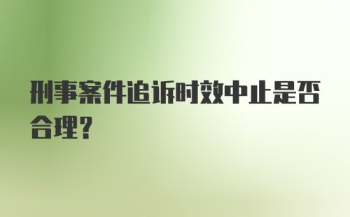 刑事案件追诉时效中止是否合理？