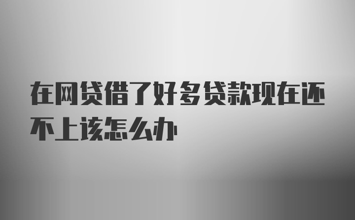 在网贷借了好多贷款现在还不上该怎么办