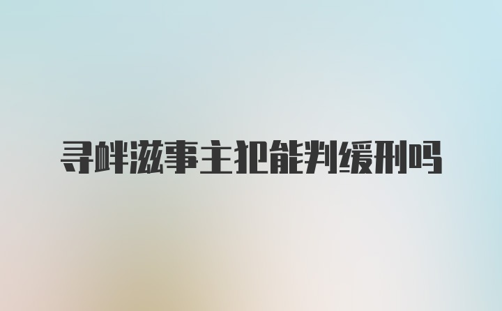 寻衅滋事主犯能判缓刑吗