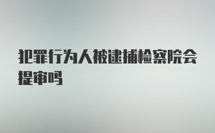 犯罪行为人被逮捕检察院会提审吗