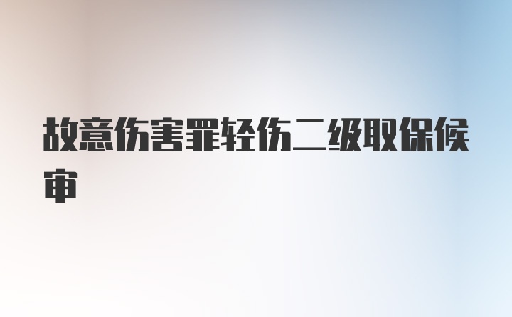 故意伤害罪轻伤二级取保候审