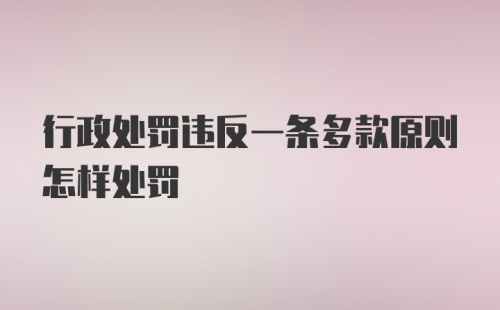 行政处罚违反一条多款原则怎样处罚