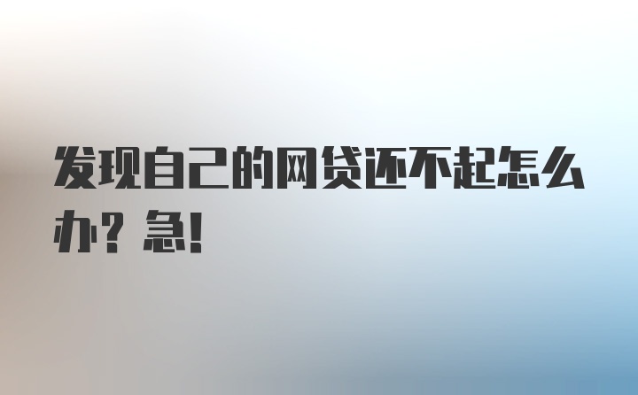 发现自己的网贷还不起怎么办？急！