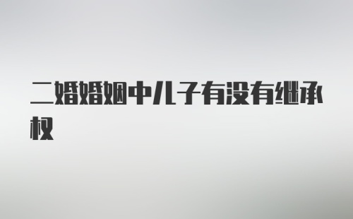 二婚婚姻中儿子有没有继承权