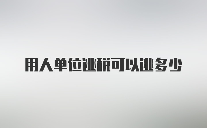 用人单位逃税可以逃多少