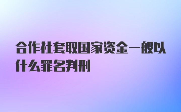 合作社套取国家资金一般以什么罪名判刑