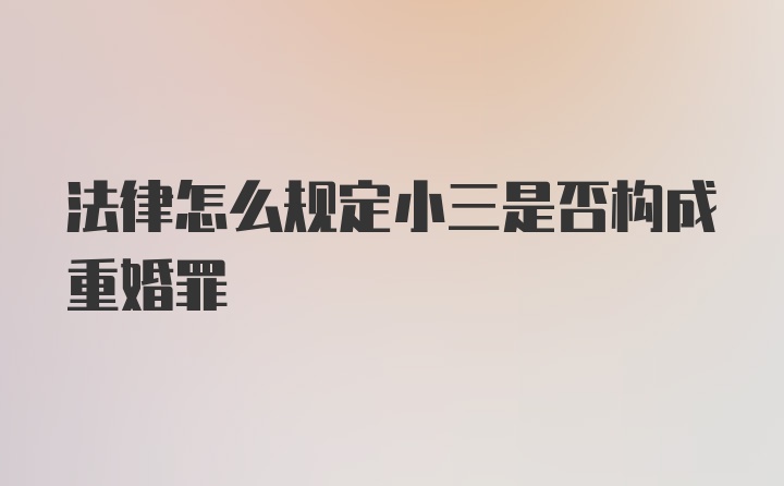 法律怎么规定小三是否构成重婚罪