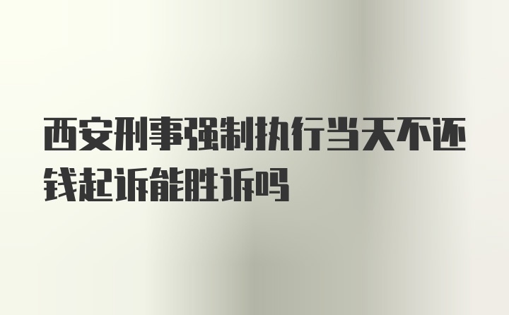 西安刑事强制执行当天不还钱起诉能胜诉吗