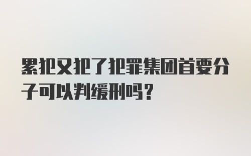 累犯又犯了犯罪集团首要分子可以判缓刑吗?