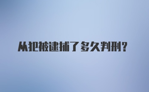 从犯被逮捕了多久判刑？