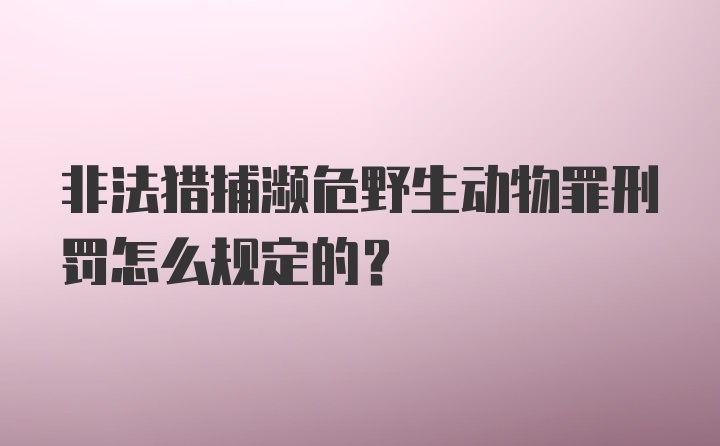 非法猎捕濒危野生动物罪刑罚怎么规定的？